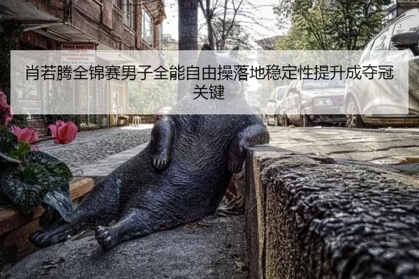 xiao-ruo-teng-quan-jin-sai-nan-zi-quan-neng-zi-you-cao-luo-di-wen-ding-xing-ti-sheng-cheng-duo-guan-guan-jian-2-746.jpg